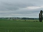 Třibřichy